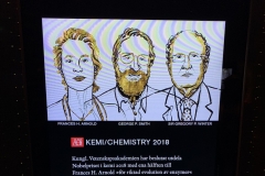 Nobel Museum, Stockholm, Dec 2018