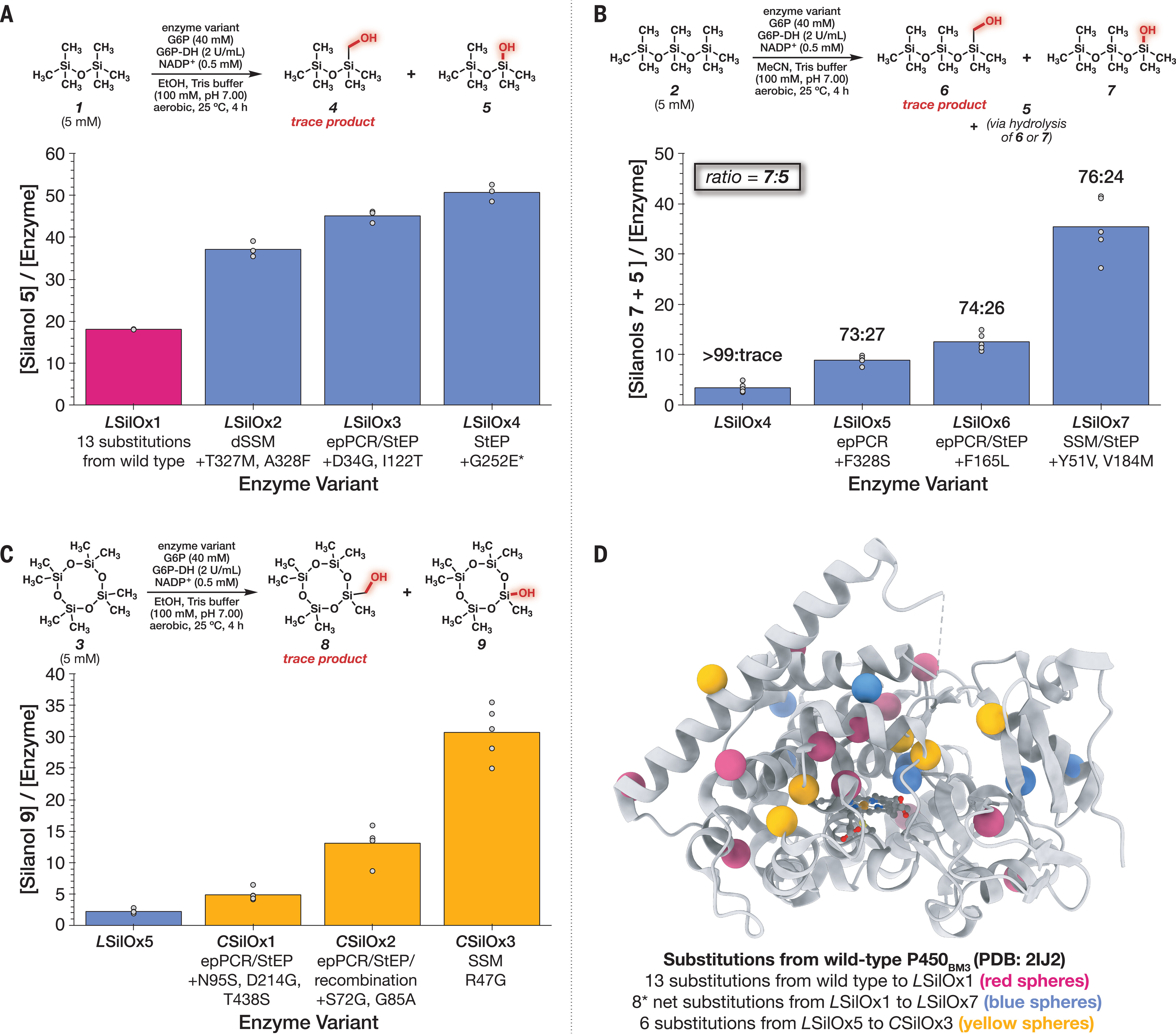 Dual-function enzyme catalysis for enantioselective carbon