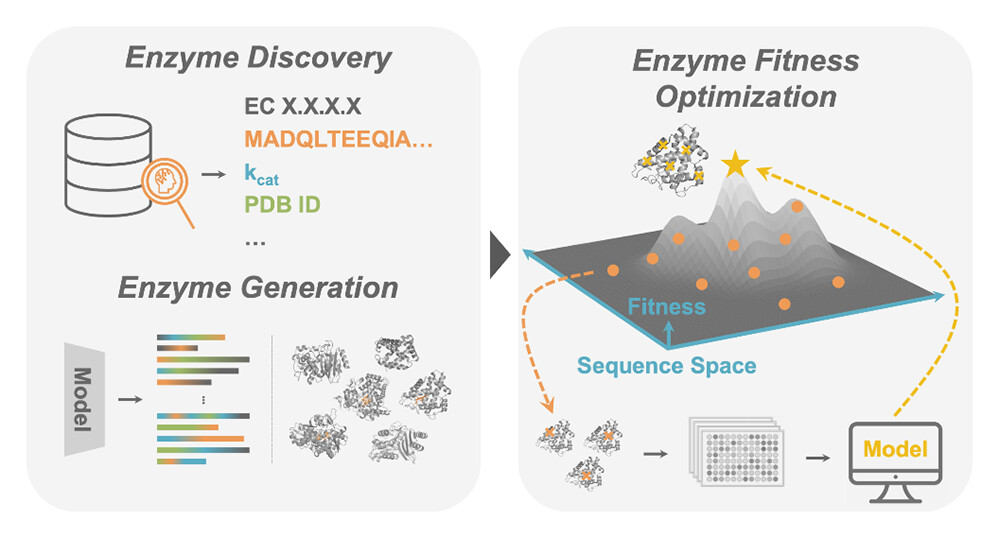 Practical Enzymatic Production of Carbocycles - Wang - 2021 - Chemistry – A  European Journal - Wiley Online Library